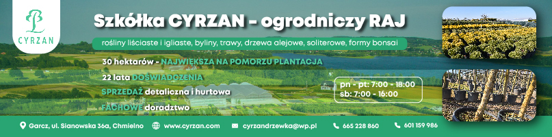 Reklama