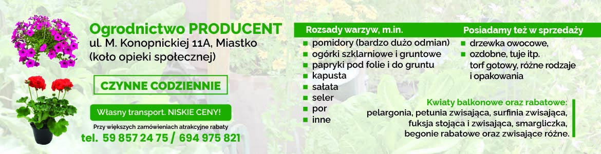 Reklama