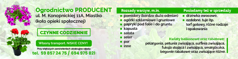 Reklama
