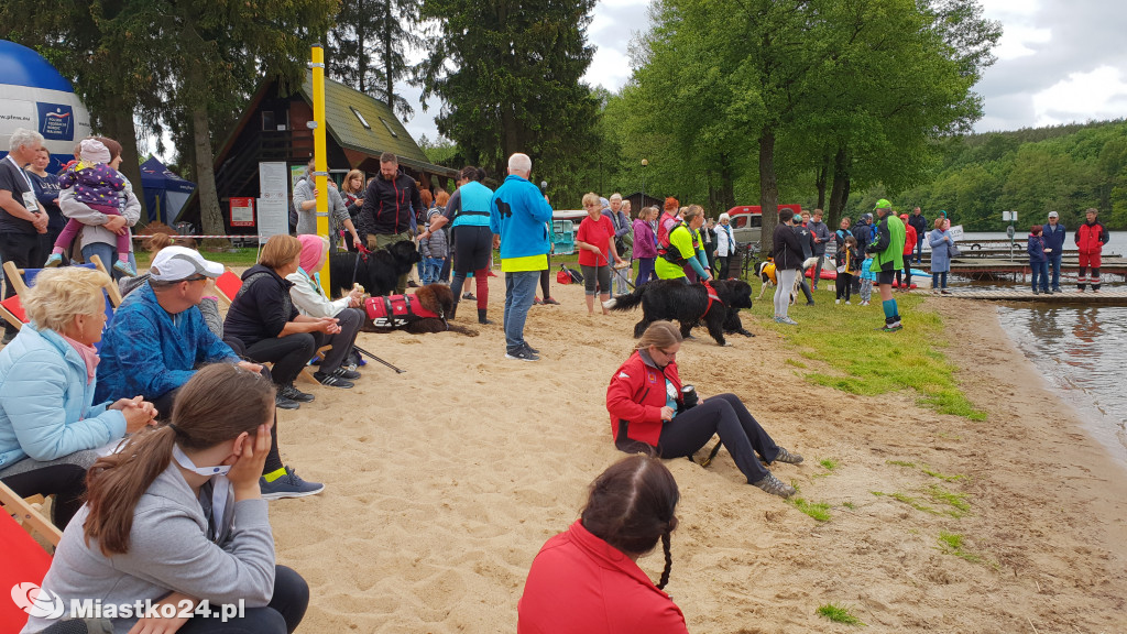 Puchar Nordic Walking i piękne nowofundlandy w Białym Borze