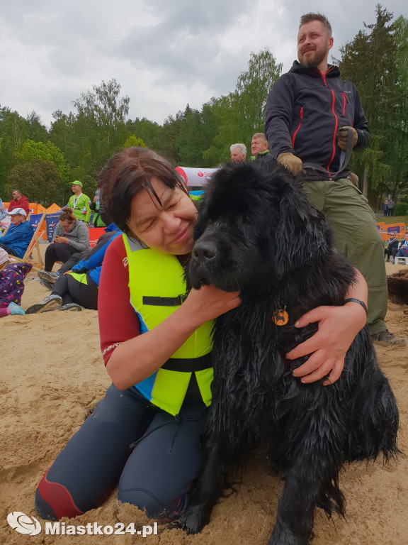 Puchar Nordic Walking i piękne nowofundlandy w Białym Borze
