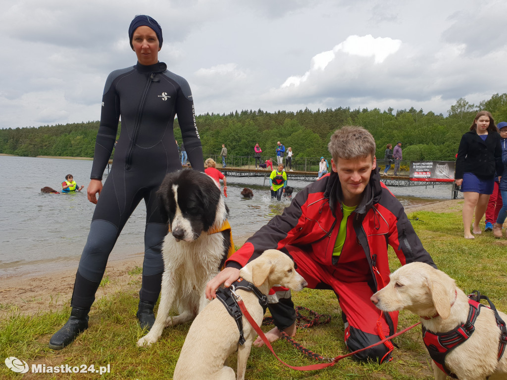 Puchar Nordic Walking i piękne nowofundlandy w Białym Borze