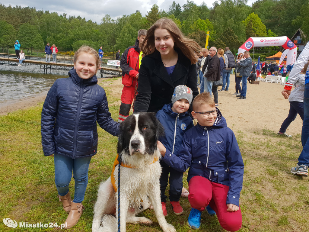 Puchar Nordic Walking i piękne nowofundlandy w Białym Borze