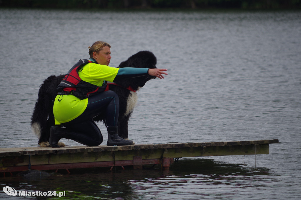 Puchar Nordic Walking i piękne nowofundlandy w Białym Borze