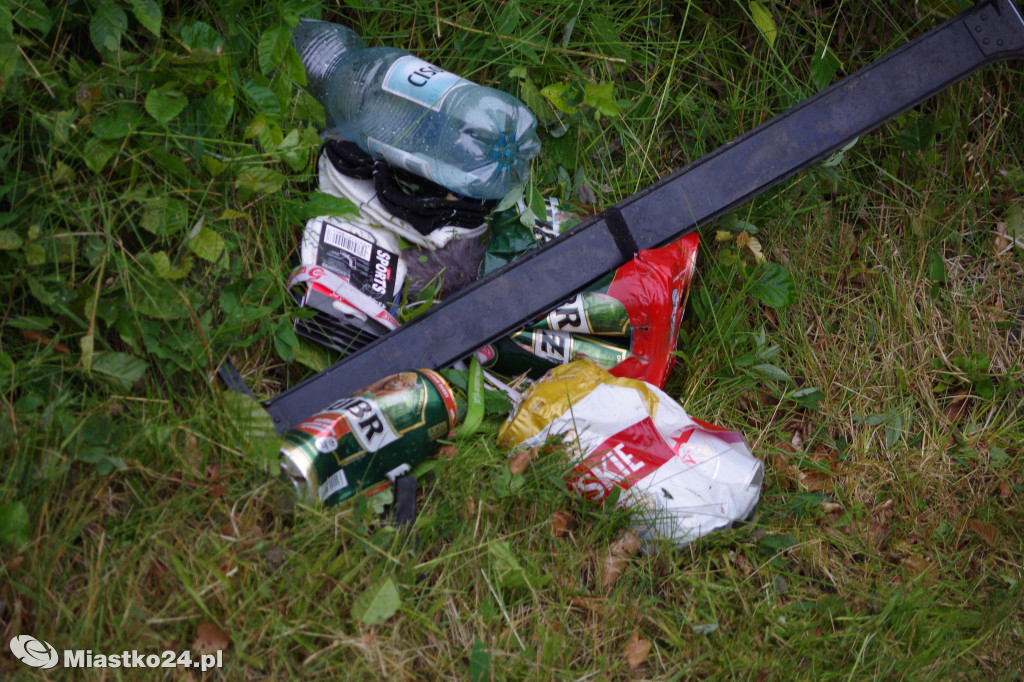 Dachowanie w Przęsinie. Kierowca audi wjechał do rowu