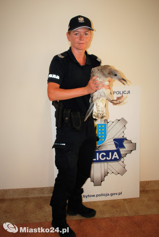 Pracowity lipiec naszych policjantów