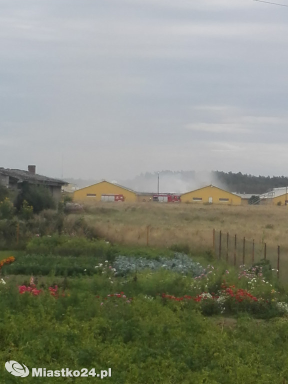 Pożar na terenie firmy Good Valley w Koczale