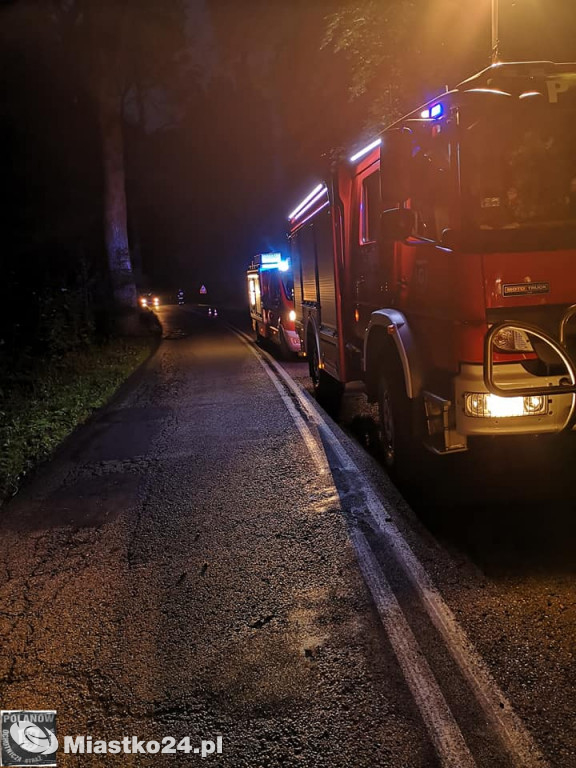 Wypadek na DW 205. Poranna podróż zakończona na drzewie