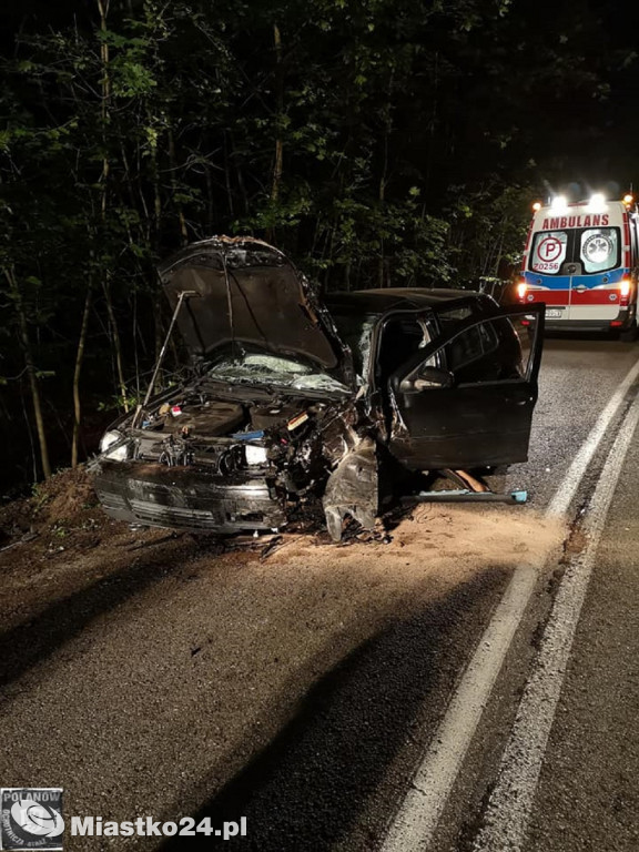 Wypadek na DW 205. Poranna podróż zakończona na drzewie