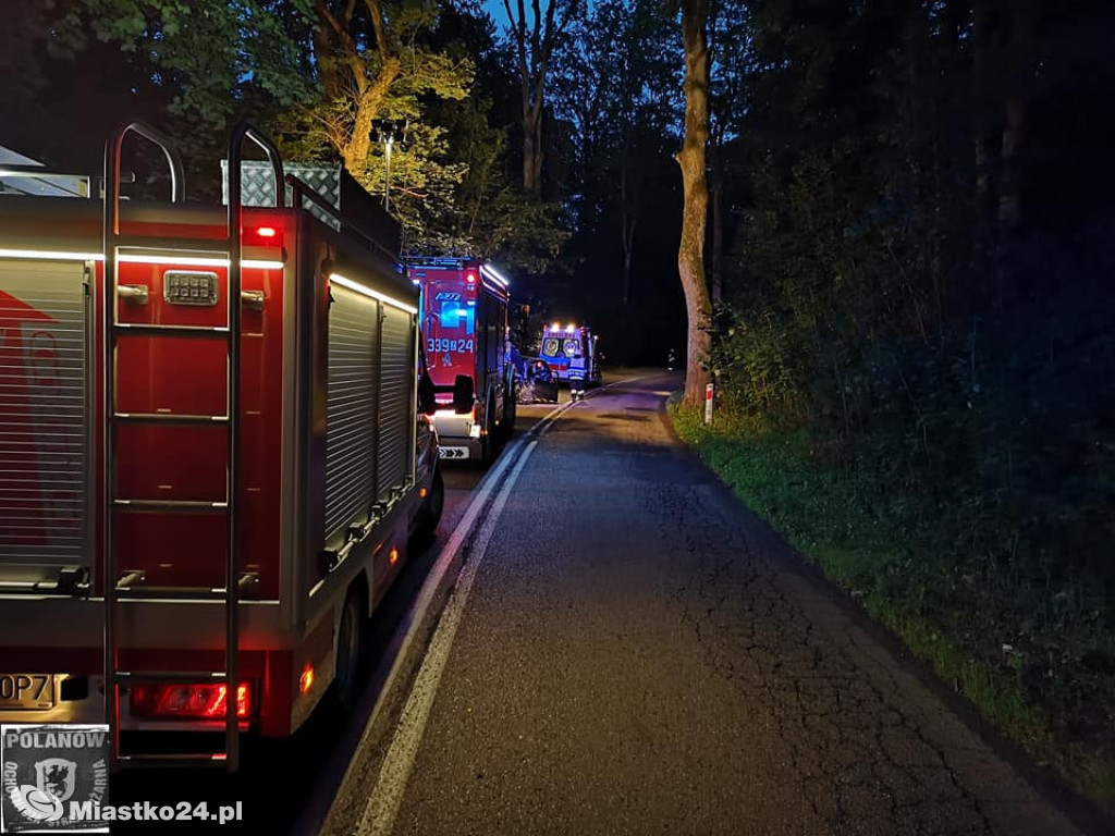 Wypadek na DW 205. Poranna podróż zakończona na drzewie