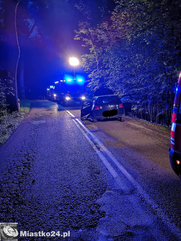 Wypadek na DW 205. Poranna podróż zakończona na drzewie