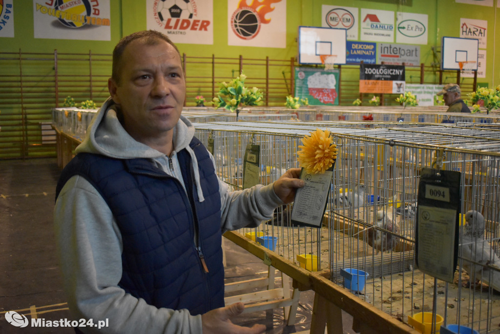 Wystawa gołębi w hali sportowej OSiR [ZDJĘCIA]