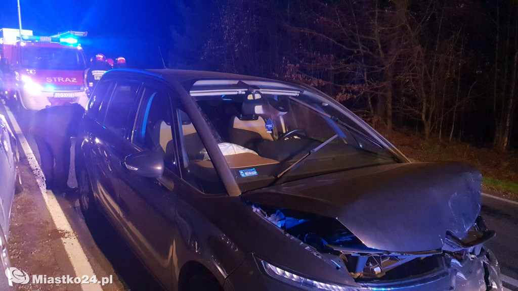 Sarna na drodze. Zderzenie 3 samochodów