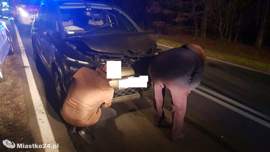 Sarna na drodze. Zderzenie 3 samochodów