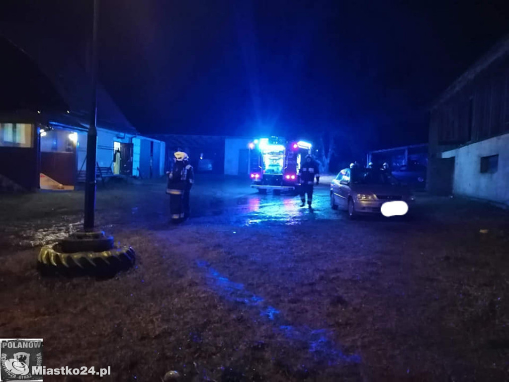 Pożar w kurniku. Kurczaków nie udało się uratować