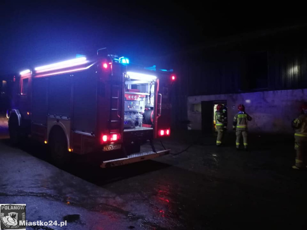Pożar w kurniku. Kurczaków nie udało się uratować