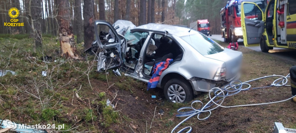 Uderzył w drzewo. Wiózł dziecko. 100 km/h