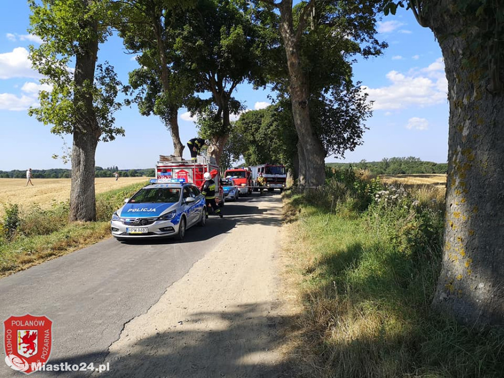 Wypadek na drodze powiatowej. Dwie osoby nie żyją