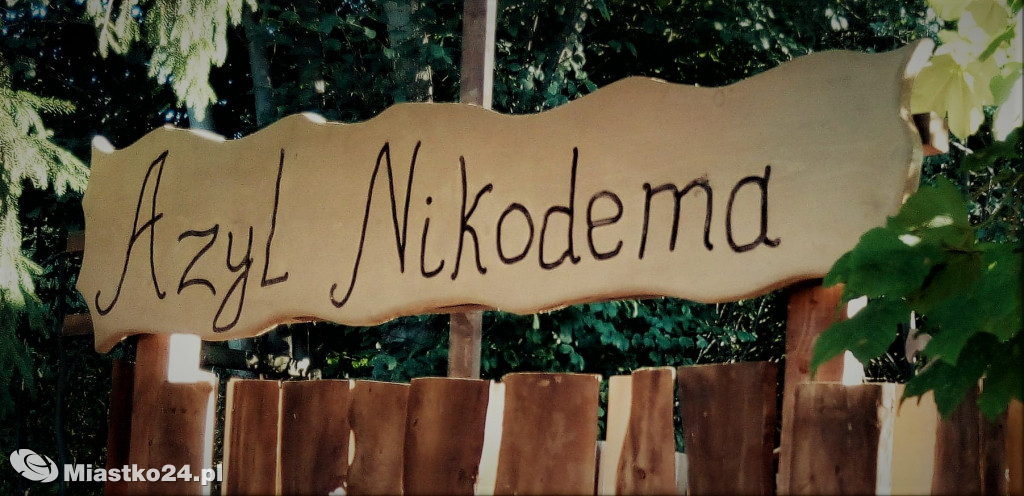 Azyl Nikodema GOTOWY! Zobacz jak wygląda [ZDJĘCIA]