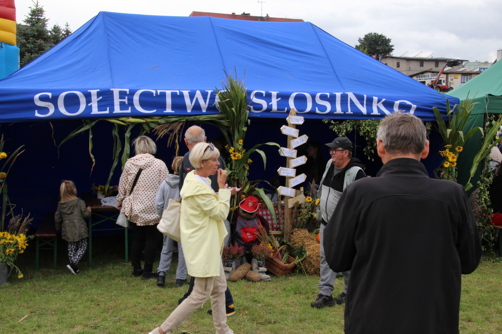 Tłumy na dożynkach w Miastku! [FOTO]