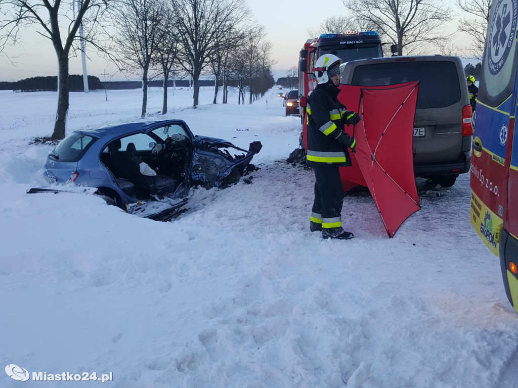 Jechały siostry, jedna NIE ŻYJE! TRAGEDIA na DK20