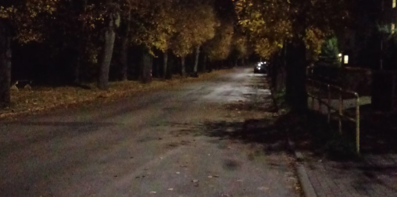 Wytną aleję drzew wzdłuż ulicy Chrobrego