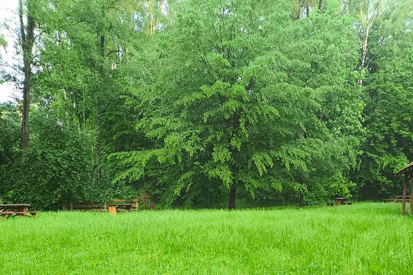 TAJFUN WANDALI w Zielonym Ruczaju. Wy za to zapłacicie!