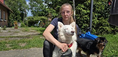 PSI BOKSER Z PIETRZYKOWA. Ujawniamy szokujące nagrania-16039