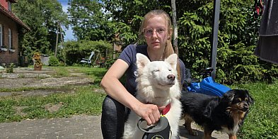 PSI BOKSER Z PIETRZYKOWA. Ujawniamy szokujące nagrania-16039