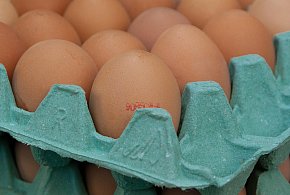 Salmonella na jajach znanej marki. Nie jedz, jeśli masz je w lodówce!-16061