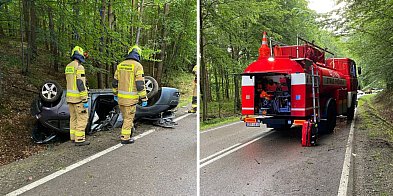 Lusterkowa kolizja, nietrzeźwi i dzika zwierzyna-16184