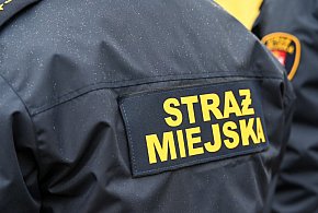 Zapuka strażnik, zapłacisz karę. Ruszyły kontrole w całej Polsce-16860