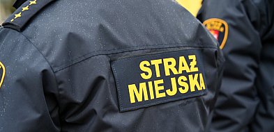 Zapuka strażnik, zapłacisz karę. Ruszyły kontrole w całej Polsce-16860