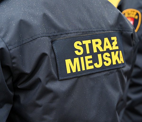 Zapuka strażnik, zapłacisz karę. Ruszyły kontrole w całej Polsce-16860
