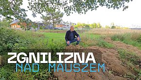 ZIELONA ZGNILIZNA nad jeziorem Mausz