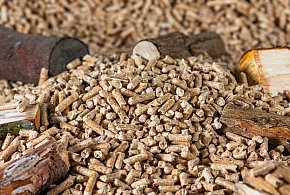 Drożeje popularny opał. Miliony Polaków dostaną po kieszeni tej zimy-17000