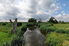 Co dalej z nowym parkiem narodowym? Minister klimatu zdradza plan po wecie-17086