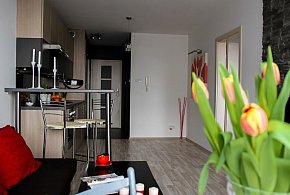 Rewolucja w wynajmie na doby. Nadchodzi koniec "wolnej amerykanki"-17313