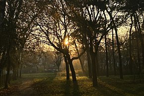 Nadchodzi najkrótszy dzień w 2025 roku. Sprawdź, kiedy przypadnie-17455