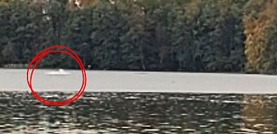 ALARM Z WOŁCZY WIELKIEJ. „Pływa łódka spalinowa!”. PZW: Zakazu nie ma!-17383