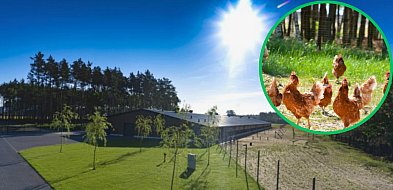 Wielka fabryka jaj pod Miastkiem. 400 milionów, 100 miejsc pracy i spór