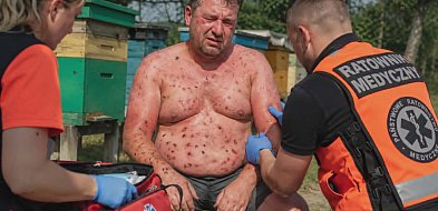 Pszczoły zaatakowały 38-latka. Na karetkę czekał kilkadziesiąt minut