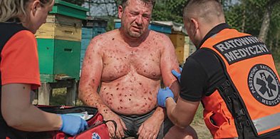 Pszczoły zaatakowały 38-latka. Na karetkę czekał kilkadziesiąt minut