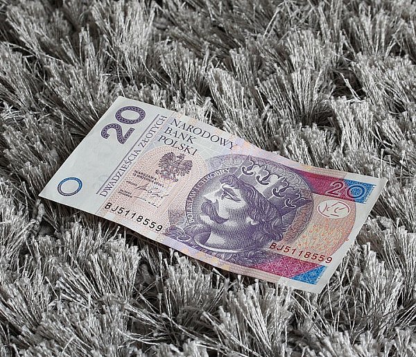 Nowy banknot o nominale 20 zł. Wchodzi do obiegu w tym tygodniu-17051