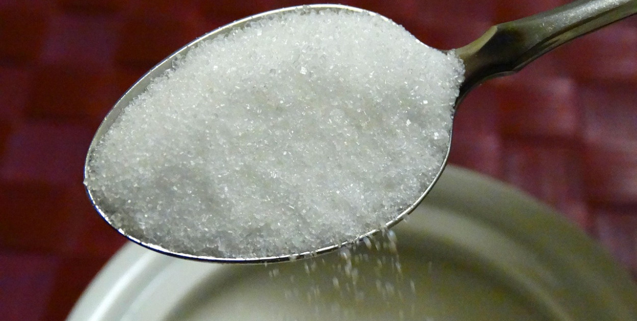 Branża na skraju upadku. Rolnicy ostrzegają przed tym, co nadchodzi