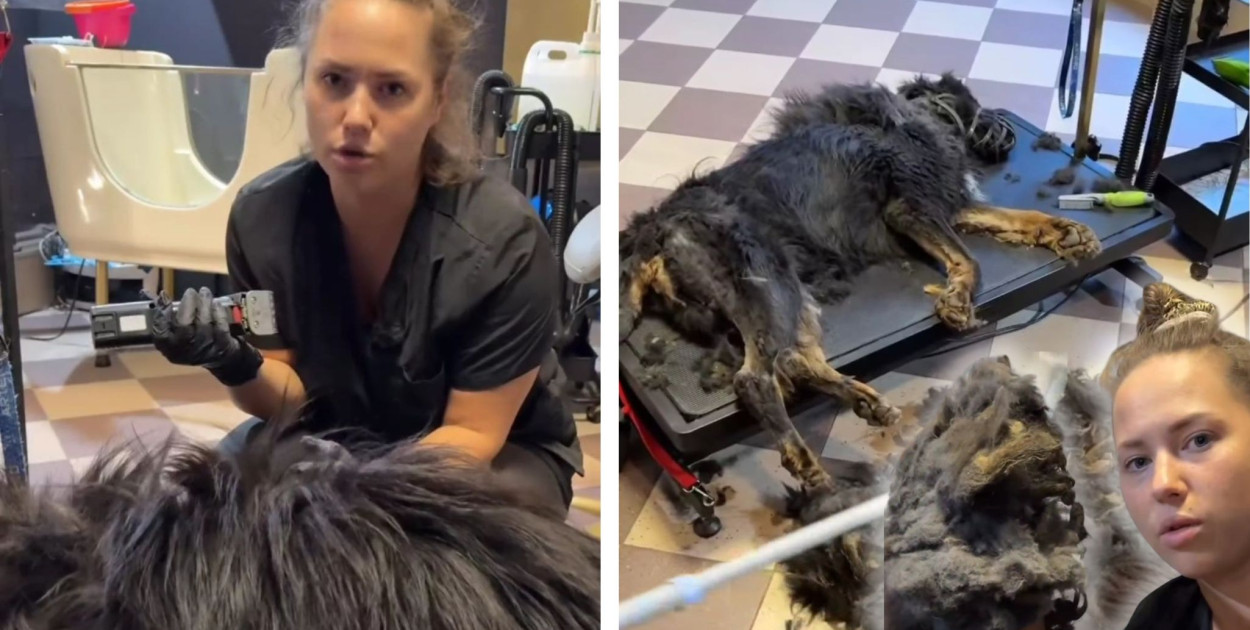 Agata Młynarz - właścicielka salonu groomerskiego