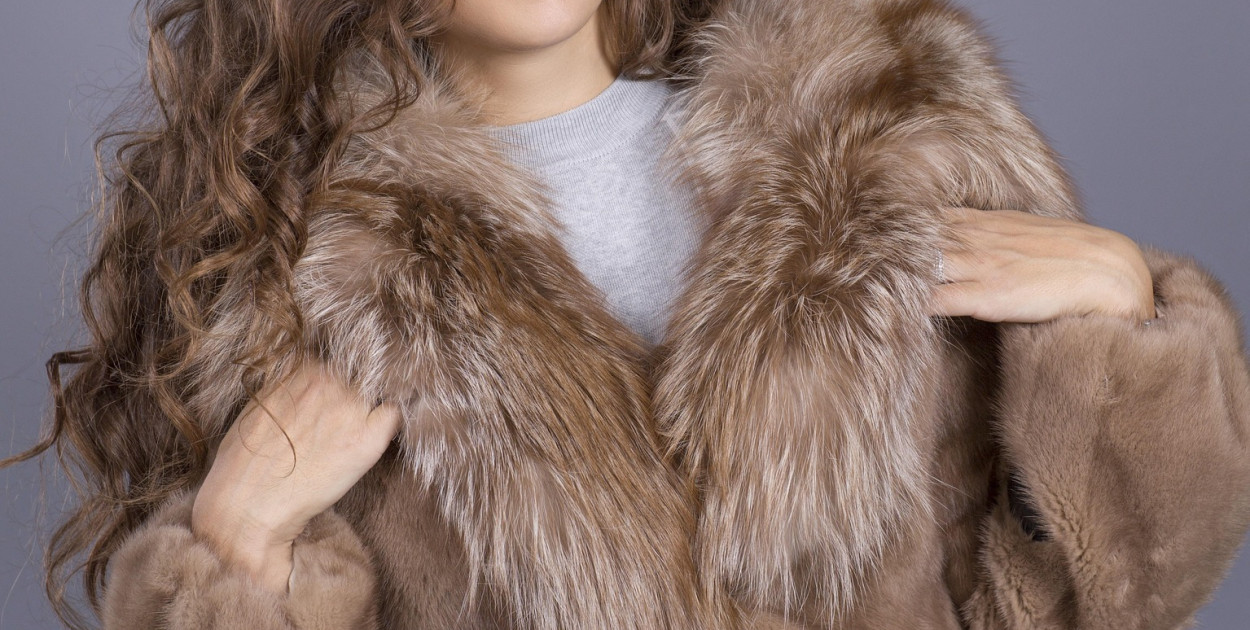 Obraz дарья сметанина z Pixabay