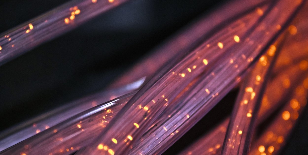 Image by Lucent_Designs_dinoson20 from Pixabay.com