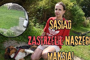 Sąsiad ZASTRZELIŁ naszego psa!